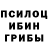 Псилоцибиновые грибы Psilocybe P. Voynarovskiy