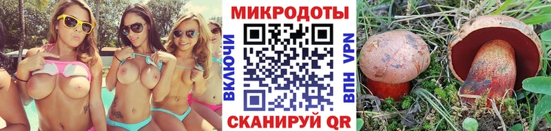 Галлюциногенные грибы GOLDEN TEACHER Тара